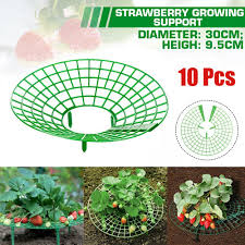 Pinnacle mercantile 10 pack tent stakes metal garden edging fence hooks pegs christmas decoration stakes made usa 9 inches long. Buy Planting Growing Frame Garden Accessories Climbing Vine Pillar Plant Support Strawberry Stand At Affordable Prices Price 21 Usd Free Shipping Real Reviews With Photos Joom