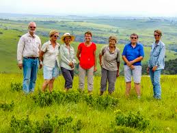 Image result for Helixanthera woodii