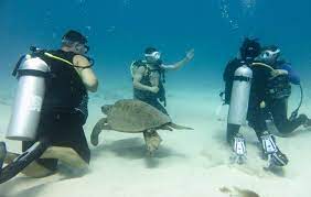 Prior to that age, some offer special programs that offer a brief. Open Water Padi Certification Island Divers Hawaii