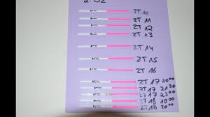 Ovulationstest bestenliste der 15 beliebtesten ovulationstests im vergleich. Zwischenbericht Kinderwunsch 2 Zyklus Ovulationstests Youtube