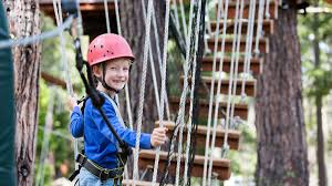 Pentru orice fel de intrebari sau informatii, ne puteti contacta oricand. 4 Parcuri De AventurÄ Din BucureÈti 2020 ListÄ CompletÄ Parcuri De AventurÄ In CapitalÄ Locuri Faine
