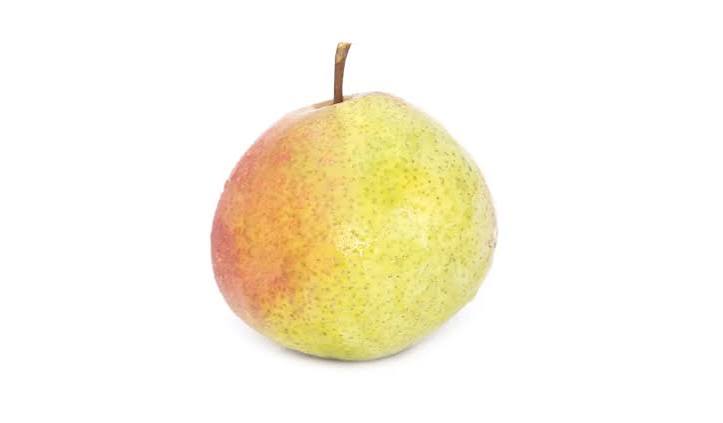 نهال گلابی دوچی