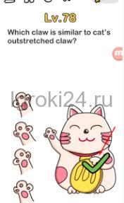 Kunci jawaban brain out level 67 : Brain Out Hibur Si Anjing Cara Golden