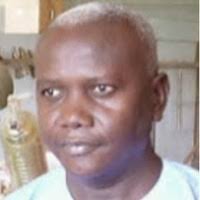 Image result for Endostemon tereticaulis