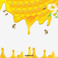 نحلة العسل نحلة عسل زهور png وملف psd للتحميل مجانا honey bee bee bee icon
