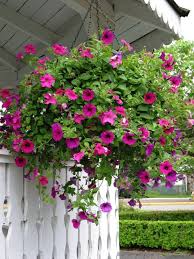 70 Hanging Flower Planter Ideas Photos And Top 10 Hanging Flower Baskets Basket Flower Arrangements Flower Planters