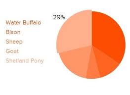 Responsive Pie Chart Plugin With Jquery And Snap Svg Pizza