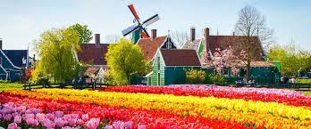 In der regel könnt ihr die farbenprächtigen tulpenfelder von ende märz bis mitte mai bestaunen. Tulpenblute In Holland 2021 Wann Ist Die Beste Reisezeit Keukenhof