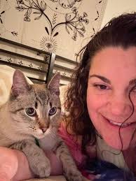 I'm looking for my cat his name is Ash he's about a year and a half old  right now he shaved down kinda like a lion he has a Little bit of