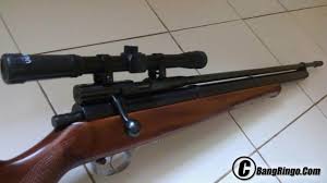 .177 on test (.22 available) weight: Senapan Pcp Harga 3 Jutaan Bangringo