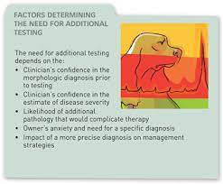 Grade i murmurs are the least serious and are barely detectable with a stethoscope. Canine Heart Murmur Clinician S Brief