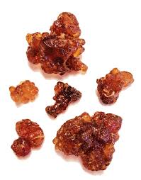 Image result for Commiphora kua