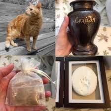 Don't forget that the brine and bounties addons will be removed on june 9, 2021 at 11:00 a.m. Today I Picked Up Lexicon S Ashes And Paw Print I Didn T Expect To Get Back Some Of His Fur And Just Lost It When I Got Home I Miss Him So Much