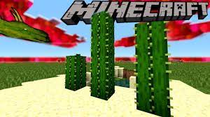 Instead, you need to find and gather this item in the game. 0 Tick Cactus Unlimited Xp Farm In Minecraft 1 15 Youtube