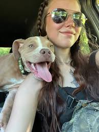 Lost dog in Joppa area of Cullman County Alabama