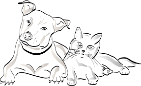 Quelles Sont Les Sources Alimentaires Qui Attirent Les Rongeurs Animaux De Compagnie Illustrations Animalieres Chien