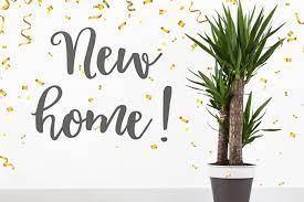 Stoneware vases, for example, make unique housewarming gifts, while vase styles in other materials work to best suit their aesthetic. 8 Unique Housewarming Traditions Around The World Roofandfloor Blog