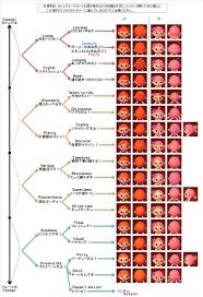 Check spelling or type a new query. Animal Crossing New Leaf Haare