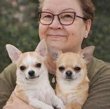 A beautiful Azawakh breed entry yesterday! #caninechronicle #azawakh #hound  #akc #dogshow #royalcanin #fueledbyroyalcanin #americankennelclub