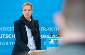 Erst auf lanz' direkte frage nach der haltung der afd zur testpflicht in unternehmen wachte sie aus dem. Cfbwxe7iwta0am