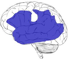 This app was tested 100% on aphasia patients and have seen a gradual improvement in the speech and language of them. Aphasia Wikipedia