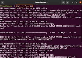 You can download it right now if you want. How To Download Files From The Command Line Using The Wget Command