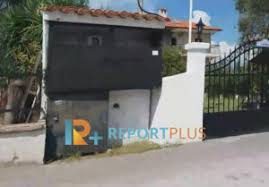 Φωτιά ξέσπασε νωρίτερα σήμερα σε περιοχή της άνω νικήτης φωτιά ξέσπασε το μεσημέρι της τετάρτης στην τορώνη σιθωνίας, στη χαλκιδική. Aytopsia Sth Xalkidikh 12 Xronia Meta Th Megalh Fwtia Kai Myalo Den Balame Video Report Plus