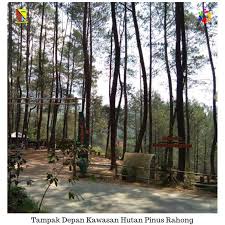 Keramaian kota memang menjadi hal yang tidak nyaman di saat kita sedang merasa penat dengan segala aktivitas yang ada. Wisata Hutan Pinus Rahong Desa Pulosari