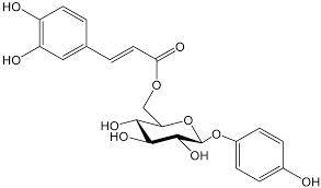 Image result for Cnestis