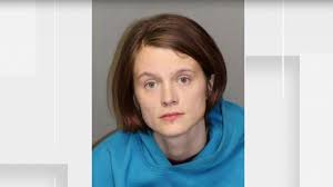 Woman shot after breaking into Carroll County home naked, beating homeowner  with pan, authorities say