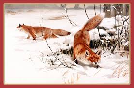 Fox Winter Snow Painting Free Stock Photo Public Domain Pictures Red fox in white snow. fox winter snow painting free stock