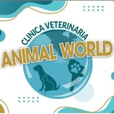 Clínica veterinaria Animal's World