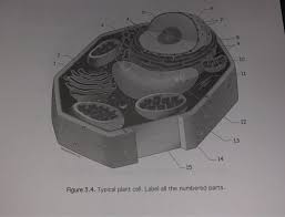We did not find results for: 4 7 8 10 12 13 14 15 Hayles Mcneil Llc 16 Figure Chegg Com