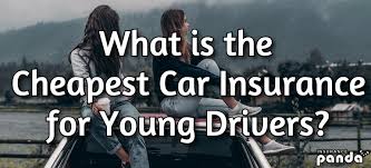11 ways to cut car insurance costs. What Is The Cheapest Car Insurance For Young Drivers Insurance Panda