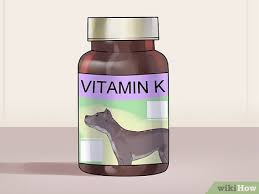 Vitamin supplements for dogs with liver disease. 3 Ways To Treat Liver Disease In Older Dogs Wikihow