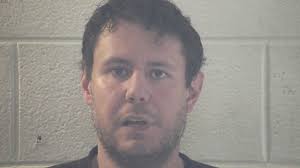 Deputies: Suspect threatens cats, law enforcement during traffic stop