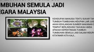 Check spelling or type a new query. Kepentingan Tumbuh Tumbuhan Semula Jadi Negara Malaysia By On Emaze