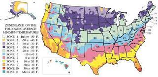 When Can I Plant Sunflowers Gardening Zone Map Gardening Zones Planting Zones Map