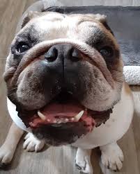 Clearwooter 2024🌝 Good times, Good friends, Good weather!! Blessed :-)