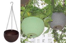 Elenco e come coltivare le piante ricadenti sul balcone o in casa. Piante Pendenti Idee Green