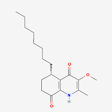 Image result for Antidesma membranaceum