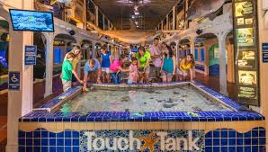 Maybe you would like to learn more about one of these? Fun Places To Go On A Rainy Day Near Me Fun Guest