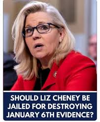 Biden Pardoning Committee Members and Congress