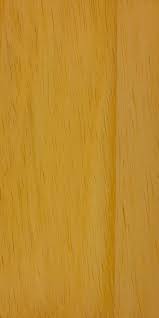 Image result for Triplochiton zambesiacus