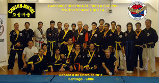 Hapkido: SEMINARIOS DEL MAESTRO DANIEL ROLLA EN CHILE