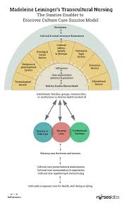 Madeleine Leininger Transcultural Nursing Theory Nursing Theory Nurse Health Essay