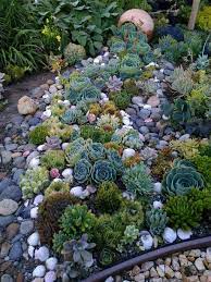 We did not find results for: Need A Creative Idea To Take Care Of A Problem Area In You Yard Whether You Are Succulent Garden Landscape Succulent Landscaping Succulent Landscape Design