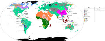 Apart from my favorite beautiful english words, the list has foreign words with beautiful meanings that i learned during my years of travels to different countries. Language Family Wikipedia