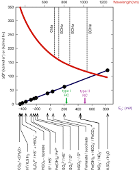 Nba arena pump up remix song addeddate 20061020 20. The Phototrophic Way Of Life Springerlink