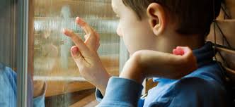 Materiales aislantes naturales